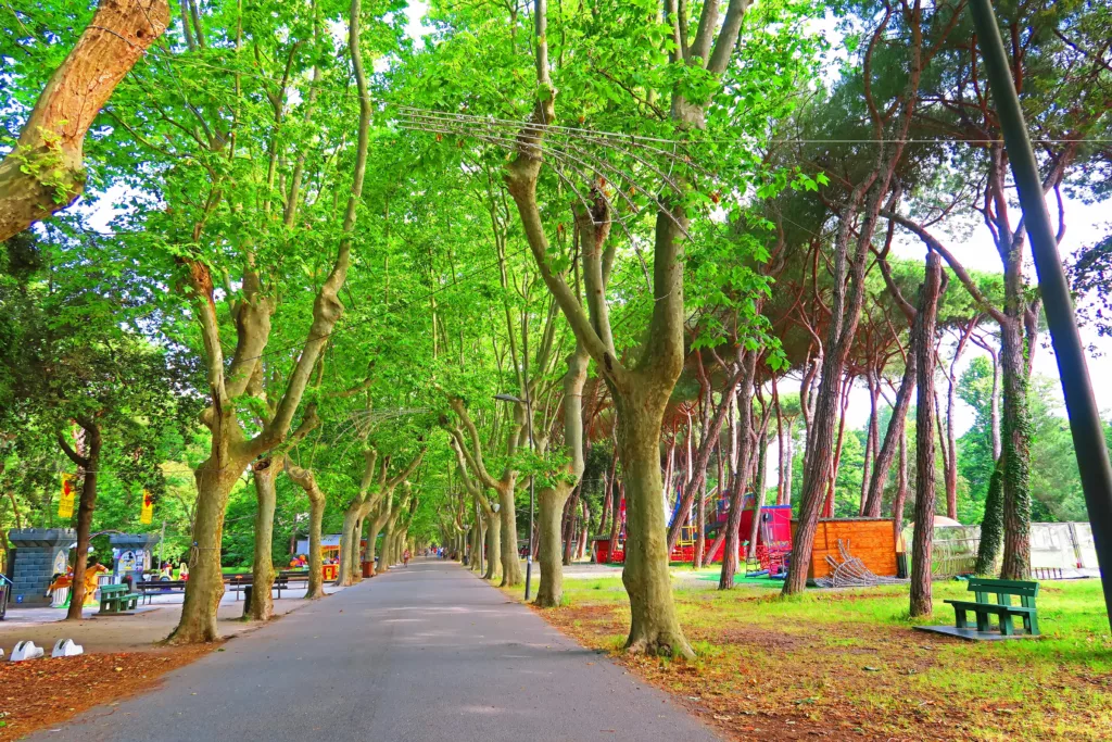 AdobeStock 274466518 min