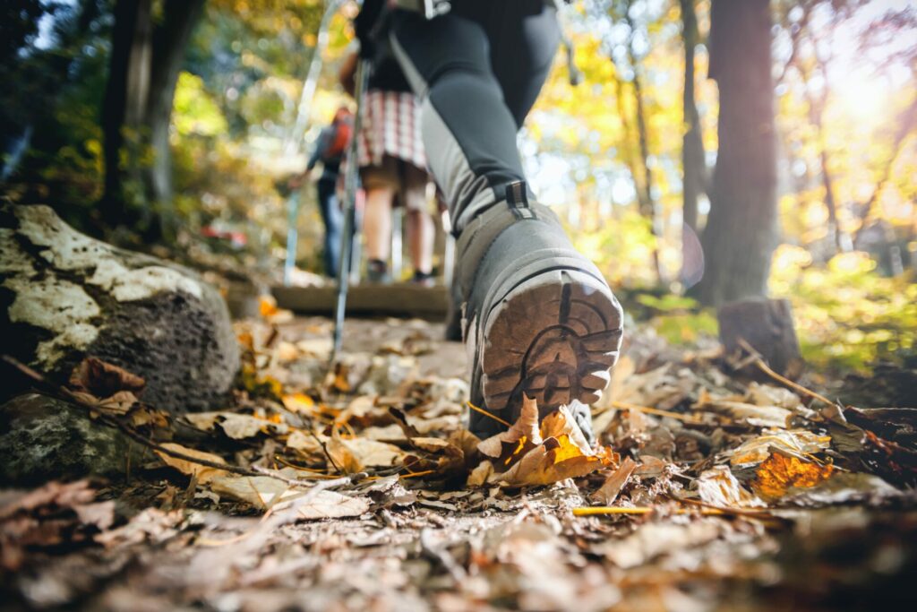 La via Francigena: 4 tappe 5 AdobeStock 242166938 min