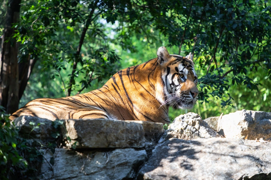 Pistoia 5 Scoperte Imperdibili 2 Zoo di Pistoia